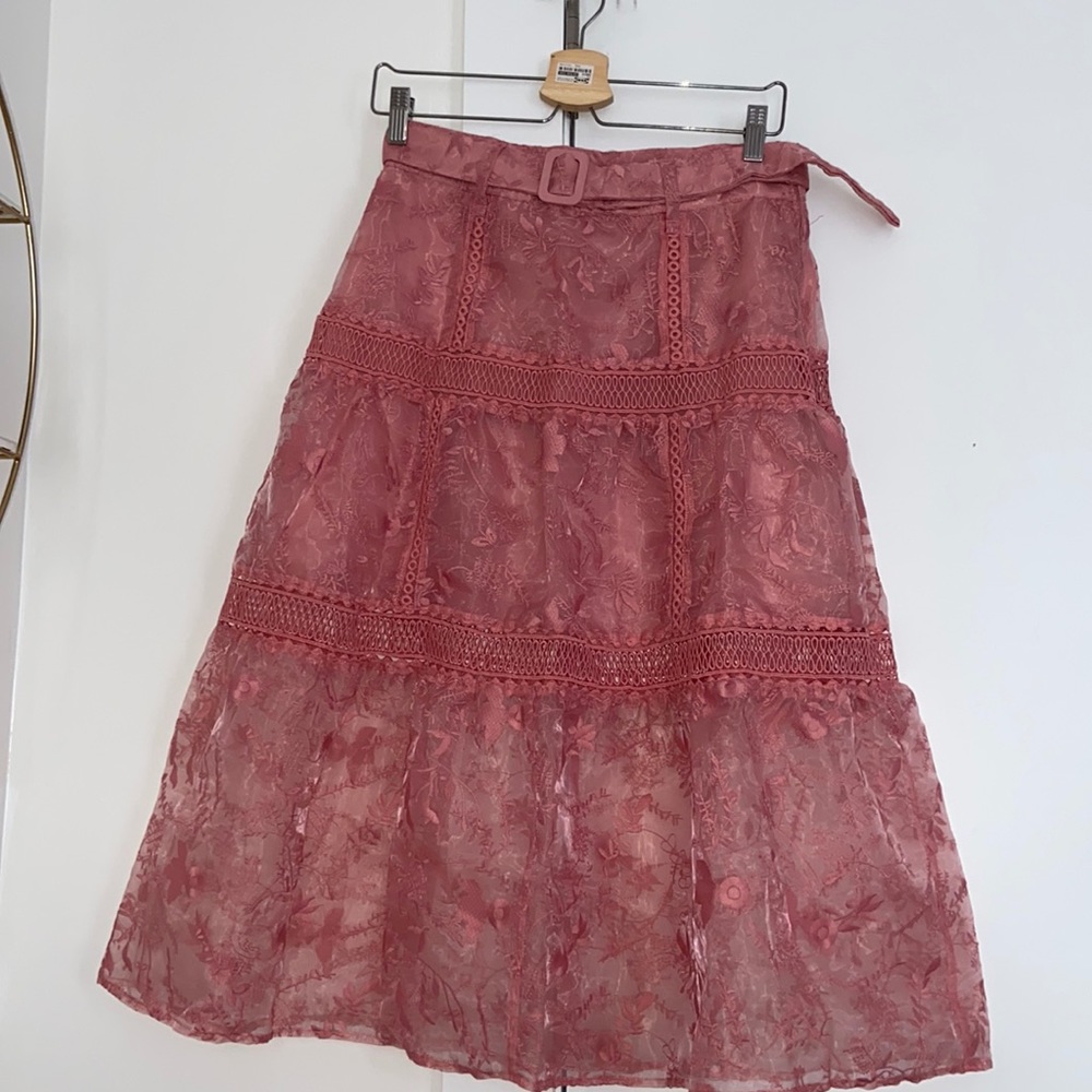 ✨ NWT ASOS DESIGN Petite Embroidered Midi Skirt - Picture 4 of 11